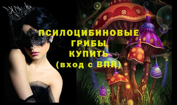 PSILOCYBIN Семёнов