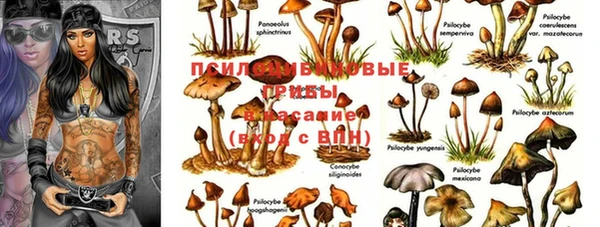 таблы Семилуки