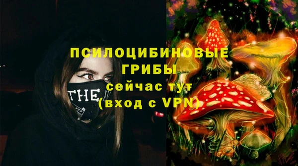 PSILOCYBIN Семёнов
