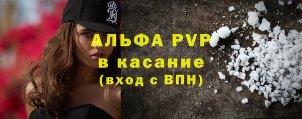 PSILOCYBIN Семёнов