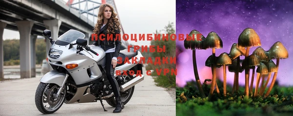 PSILOCYBIN Семёнов