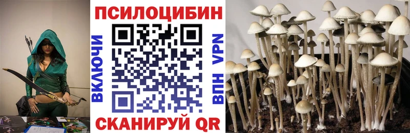 Псилоцибиновые грибы Cubensis Купить Духовщина