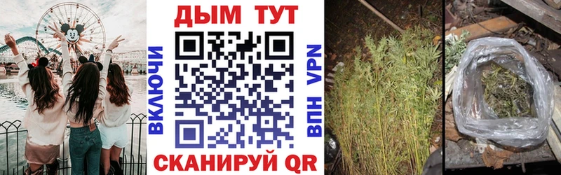 Шишки марихуана планчик  Купить  Духовщина 